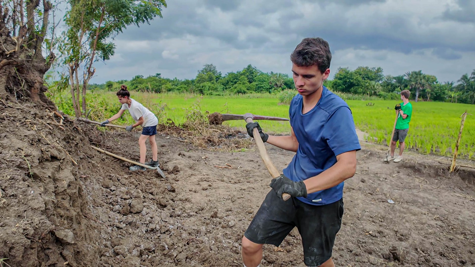 Agriculture, Alimentation durable
