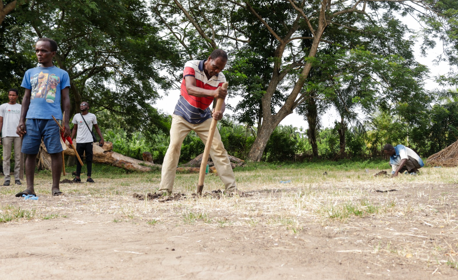 Agriculture durable